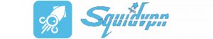 Vendor Logo of squidvpn